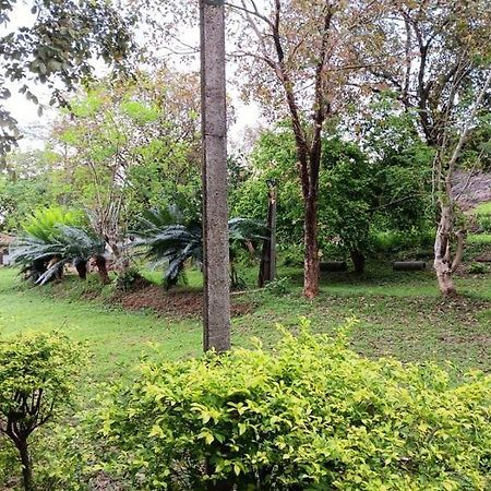 Aligama Cottage Talakolawela Kültér fotó