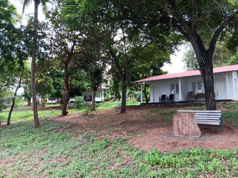 Aligama Cottage Talakolawela Kültér fotó