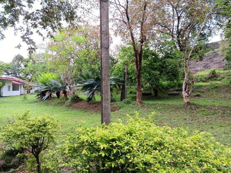 Aligama Cottage Talakolawela Kültér fotó